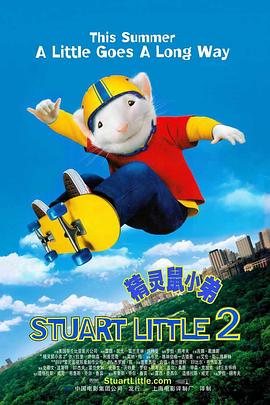 我的小男人