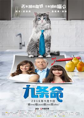 国产精品视频成人