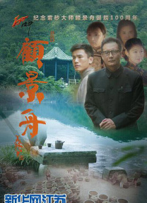 2021国内精品久久久久影院