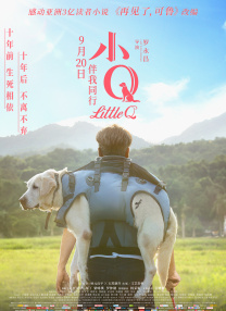 成人午夜视频在线观看